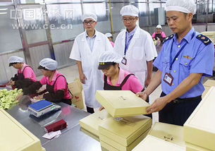 安溪 激发非公党建新活力 助力企业发展新征程