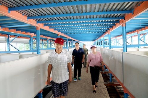 湖南省常德市澧县 李明志夫妻回乡创业养鳝鱼