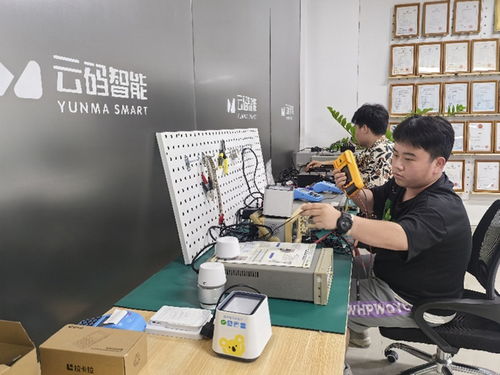 高质量发展调研行丨幸福的城市 成事的幸福 来自海南生态软件园的创新创业观察